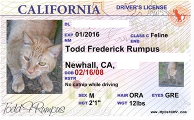 My drivers license.